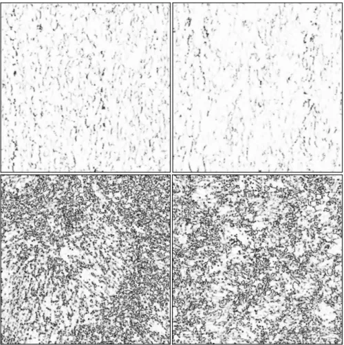 Figure 8: orientation coherences for the four carbons (ReL, RL, SL and C Fiber , from top left to  bottom right)