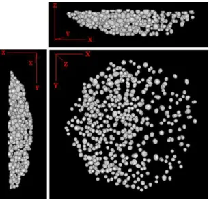 Figure 16: 3D segmentation of the multicellular tumor spheroid (Fig 15)