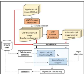 Figure 1. Pixel-based vegetation species mapping with  MNF feature selection and NDVI masking