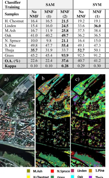 Figure 2. Vegetation mapping by SVM classifier, a)  original test zone (RGB), b) SVM over 16 bands image and 