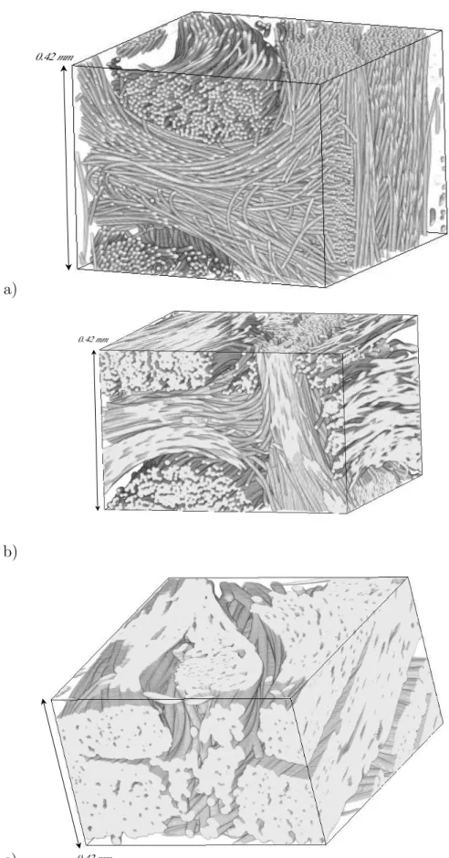 Figure 3: 3D renderings of extracts from reconstructed and segmented images CC0 (a), CC1 (b) , and CC2 (c)