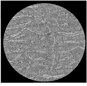 Figure 4: 2D visualizations of low-resolution tomographic slices extracted from CC0 (a), CC1 (b) , and CC2 (c) and visualization of yarns and needlings in sample CC1 (d).