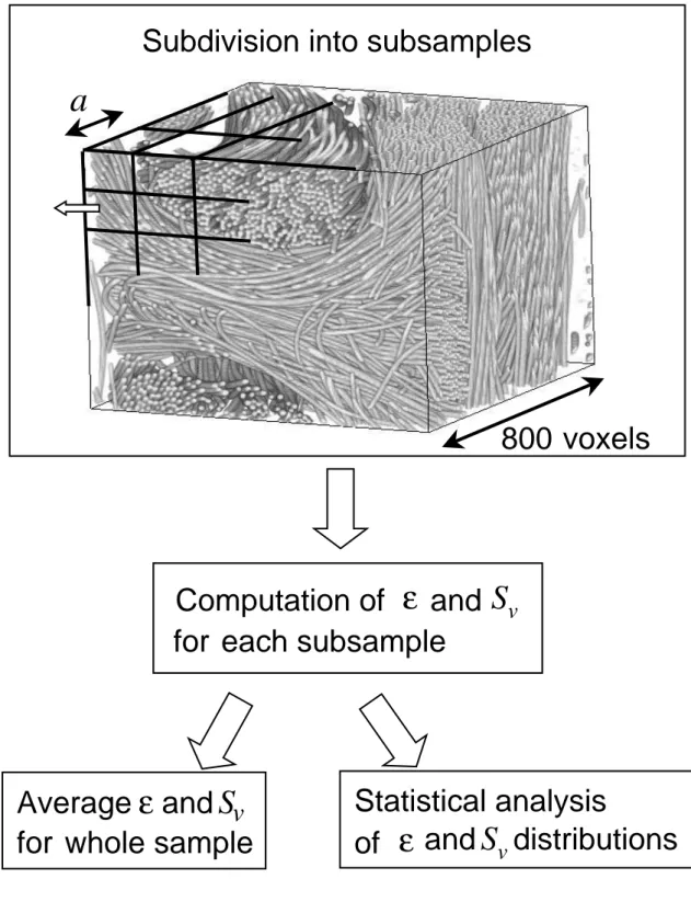 Figure 5: Computational method for the evaluation of geometrical characteristics.