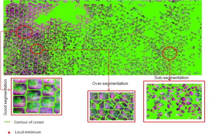 Figure 6: Watershed result (Marc Delorme station). 