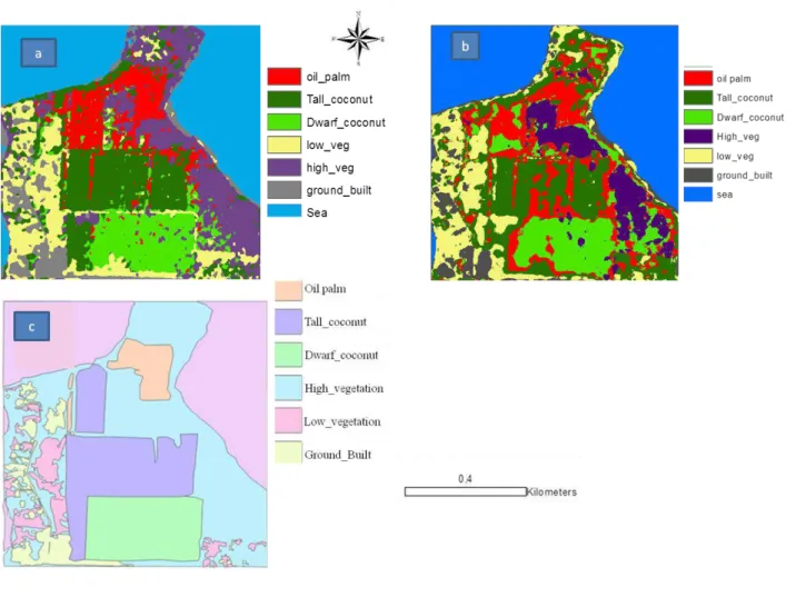 Figure 5: Classification results for Marc Delorme Station; a: Maximum Likelihood  classification; b: Textural classification by PAPRI method; c: manually digitized map)