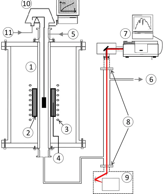 Figure 1: Multi-instrumented CVD reactor