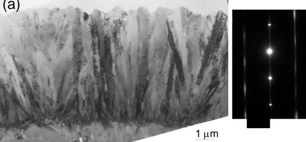 Figure 6: TEM images of a coating obtained at T = 1100 °C, P = 2 kPa, α = 13 and Q tot = 150 sccm