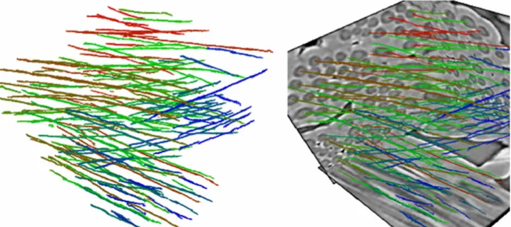Figure 17: Results of axes detection for a 3-D block of size 200x200x198 with fibers with various  orientations