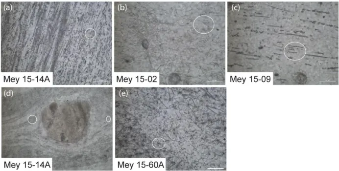 Figure 13 : Type de microlites constituant les matrices d'obsidienne du Gürgürbaba (G × 630) 