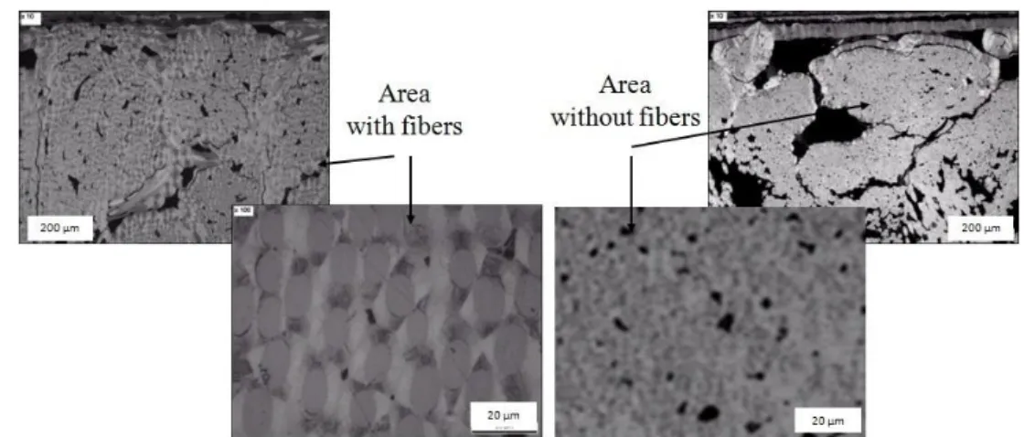 Figure 9. Cross section micrographs of sample D prepared in five steps by semi-continuous  reactor feeding described in table 1
