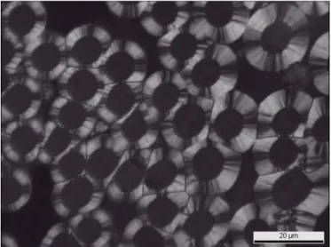 Figure 12. Optical microscopy micrograph under crossed polarizers of C/C composite  obtained at 1050°C