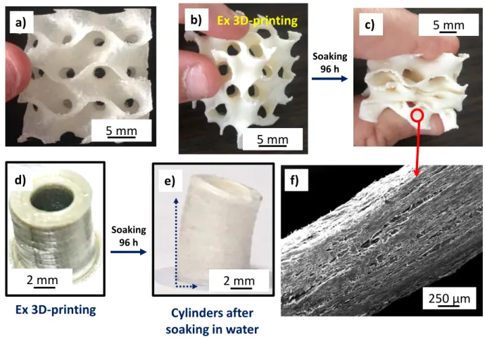 Fig.  4.  (a)  and  (b)  gyroid  structures  in  PORO-LAY  in  two  different  directions,  (c)  gyroid  structures after soaking in water, (d) model cylinders after 3D printing, (e) model cylinders after  3D printing and soaking in water, (f) SEM observat
