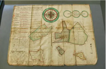 Fig. 4 -Plan des bois communaux de Cognières (1750) 