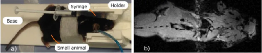 Figure 8.  In-vivo setup including mouse under anesthesia and syringe containing fluorine compound (a) and  anatomic gradient echo coronal-plane image of mouse acquired using the manufactured dual-nuclei coil (b).