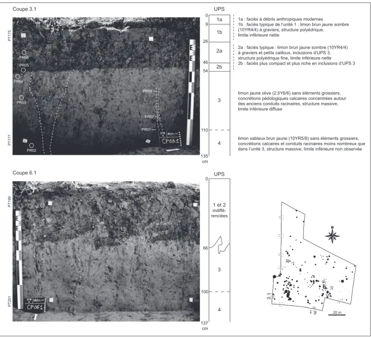 Fig. 3 : Séquence pédosédimentaire illustrée par les coupes 3.1 et 6.1 Echelle des logs : 1/20.