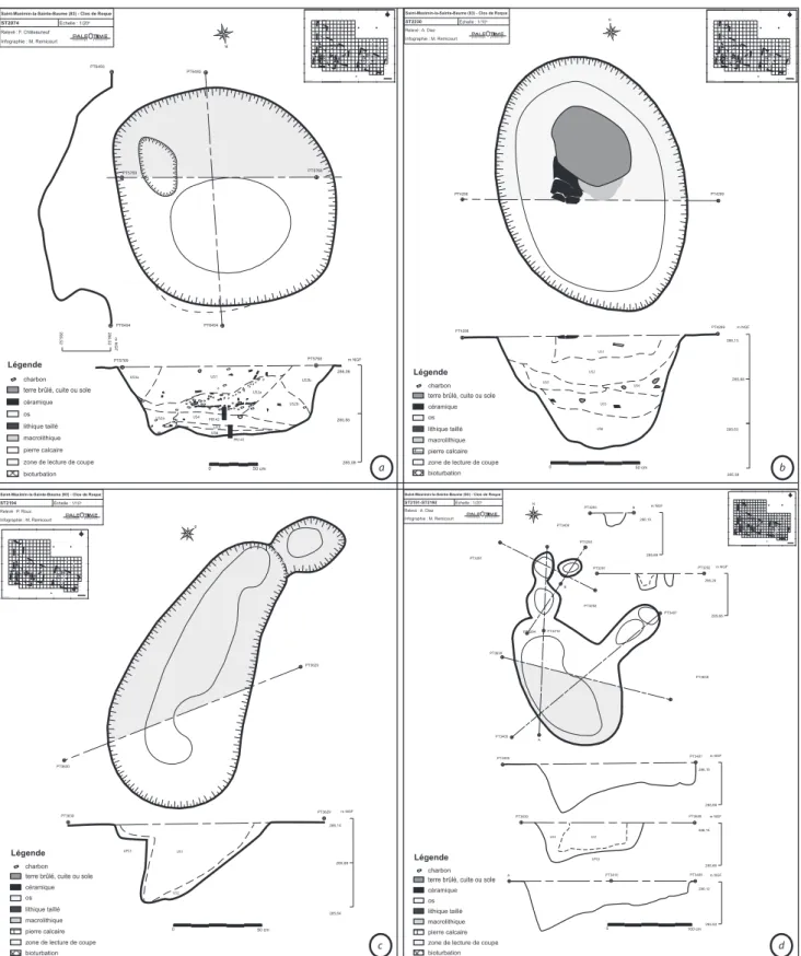 Fig. 4 : Plans et coupes des structures. a – grande fosse à logette (cave-silo) ST2074 ; b – fosse tronconique profonde ST2230 ; c  – fosse à profil irrégulier décentré et trou de poteau ST2194 ; d – fosse à profil irrégulier décentré et trous de poteau ST