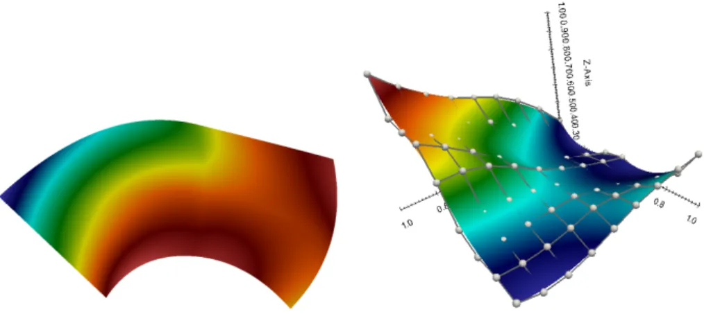 Fig. 4. The Jacobian determinant values of the selected patch (Fig. 3) on the domain (left)