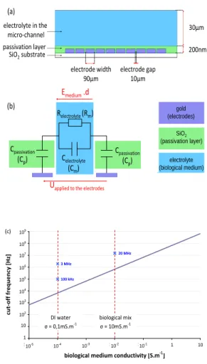 Fig. 1 (a) Description and dimensions (not to scale) of a vertical section of the microfluidic device for cell separation using DEP