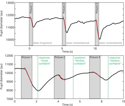 Fig. 2. Figure redrawn from [35, Figure 1B (top) and 1C (bottom)], showing the evo- evo-lution of the pupil size during the memorisation and retrieval phase