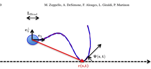 Fig. 1.3 The prescribed continuous wave (red curve) and its discrete approximation by the N -link swimmer (blue curve), N = 15.