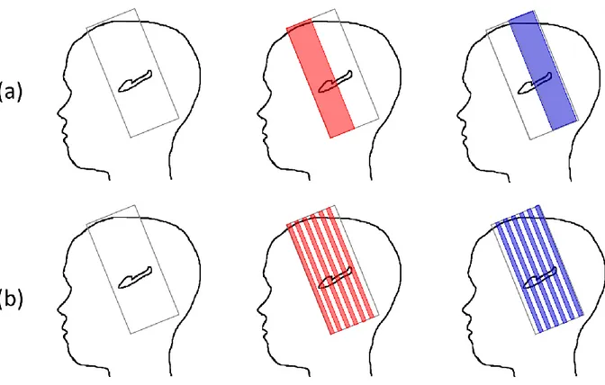 Figure 2: Multi-slab acquisitions for the hippocampus inner structure imaging: (a) contiguous slabs acquisition, (b)  interleaved slabs acquisition