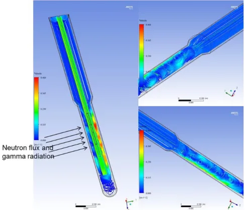 Fig 5. Stream lines during the re-irradiation phase 