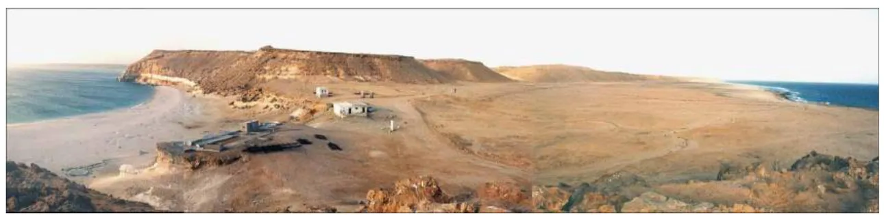 Fig. 5 = site de l’entrepôt médiéval de Sharma, c. 980-1140, à l’extrémité du Ra’s Sharma  (Hadramaout, Yémen)