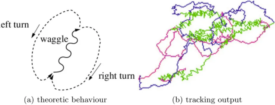 Fig. 2. Honeybee dataset [14]