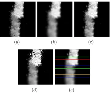 Figure 3: (a) Original image, (b) blurred image with four Gaussian PSF, (c) restored image with the space-variance approach, (d) restored image with space invariance assumption, (e) interfaces of the considered domain  decom-position.