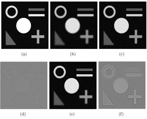 Figure 5: (a) Original image, (b) blurred and noisy image, (c) restored image with the space variance approach, (d) intensity dierence between the restored and original images, (e) restored image with space invariance assumption, and (f) intensity dierence