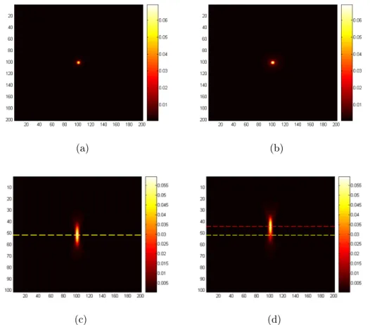 Figure 6: Maximum intensity projection of a numerically computed confocal laser scanning PSF (a) along the lateral plane giving the axial plane for a zero depth, (b) along the lateral plane giving the axial plane for a depth of 4800 nm , (c) along the opti