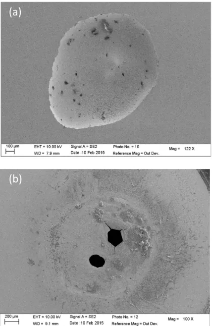 Fig. 4: SEM images of an open pit for a 316L stainless steel after 1 hour of propagation obtained by  injecting a 3 M NaCl solution with the microcapillary (a) and a covered pit obtained after 3 hours with  a 1.2 M NaCl solution (b)