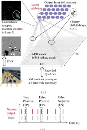 Figure A1 (a) presents the network simulated for the detection task. A video of cars passing on a  six-lane wide motorway is recorded using Address Event Representation format by a Dynamic Vision Sensor [48] and it represents the input data [49]