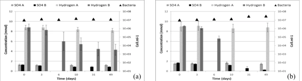 Figure 1. Evolution of sulfate, hydrogen and bacteria in series 1 (a) and in series 2 (b), average of three replicates, in both abiotic  (A) and biotic (B) conditions