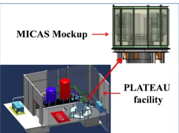 Fig. 6: Sketch of the PLATEAU facility and MICAS Mockup