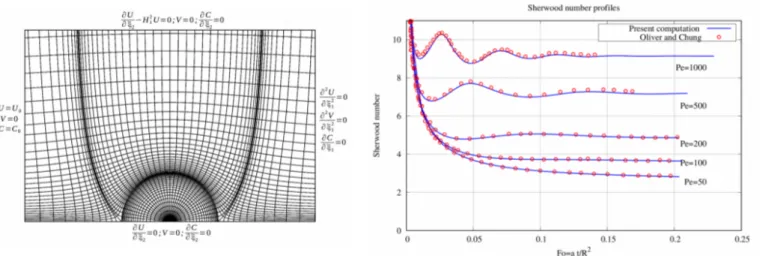 Figure 1 : Maillages et conditions aux limites                      Figure 2 : Évolution temporelle du                                                                                          nombre de Sherwood Références: