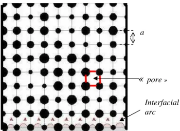 Figure 1  Model fibrous medium formed by a regular array of disks of random diameter. Distribution of  fluids at t = 0 (invading fluid in grey, displaced fluid in white)