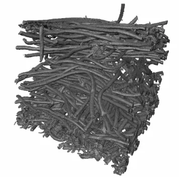 Figure 5 Example of image of GDL microstructure obtained by X ray microtomography 