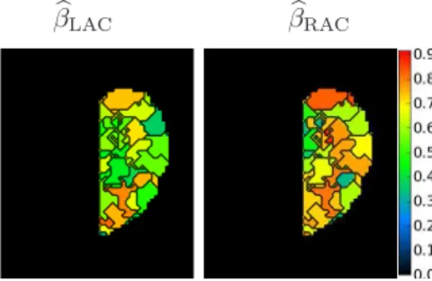 Fig. 3. Left: β b LAC parcel-dependent map computed for the LAC condition. Right:
