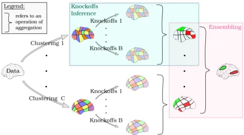 Fig. 1: Representation of the ECKO algorithm. To create a stable inference result, we introduce ensembling steps both within each cluster level and at the  voxel-level, across clusterings.
