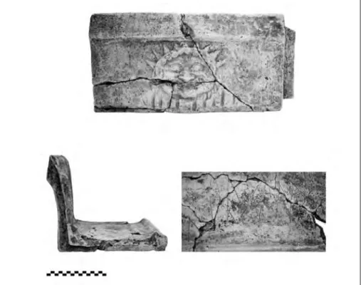 Fig. 6. Sima rampante con iscrizione sul retro