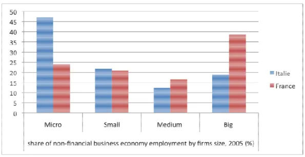 Figure 12. France/Italy: firm size distribution. Micro firms: 1 to 9 employees. Small firms: 10  to 49 employees