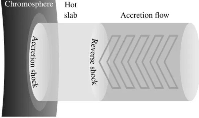 Fig. 1. Sketch of the basis of an accretion column and its three dis- dis-tinctive zones: the chromosphere ( left, dark grey ), the accretion flow ( right, mid-grey ) and the zone in between ( middle, light grey ) hereafter called hot slab or post-shock me