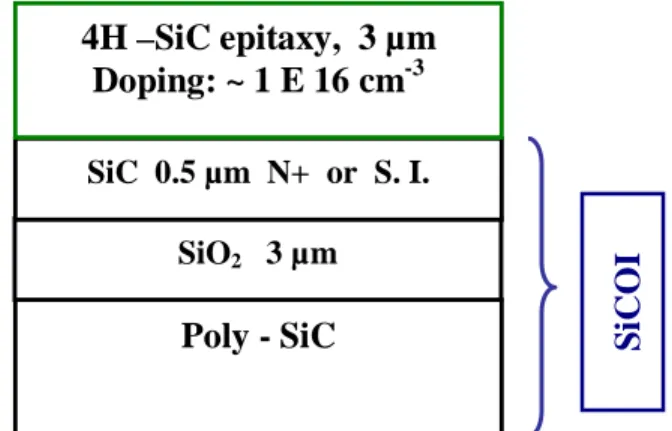 Figure 1.  Optical observation of an epitaxy on  SiCOI substrate: only small voids can be seen