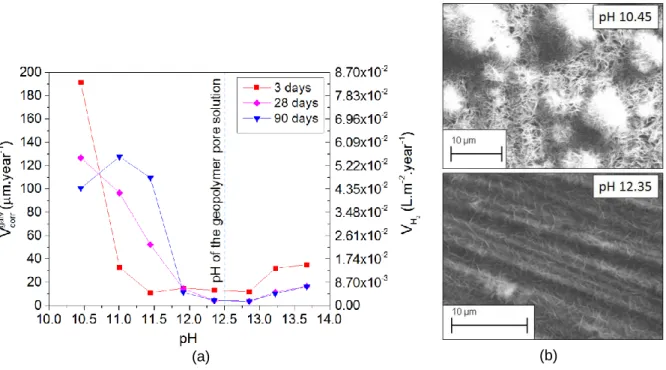 Figure 1: (a) Comparison of the galvanic corrosion rates between Mg-Zr/Graphite (ratio 1:1) at 3, 28 and 90  days in alkaline solutions at different pH