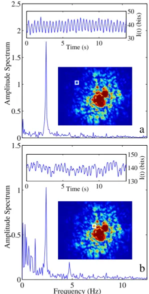 FIG. 2. (color online). Temporal modulation of speckle intensity and corresponding power spectrum within an area encompassing a single speckle spot (delineated by the white square shown in the speckle pattern CCD image)