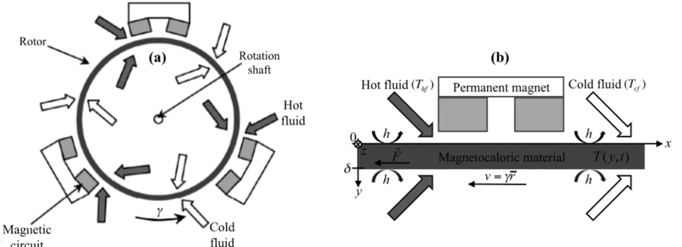 Figure 1. Representative diagrams (a) of the total and (b) of a thermomagnetic pole of the Curie wheel considered in this study.