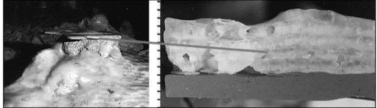 Fig. 7.  Example of a modern deposition experiment, Grotte de Villars,  Dordogne. Top left shows a tile placed on top of an actively forming  stalagmite