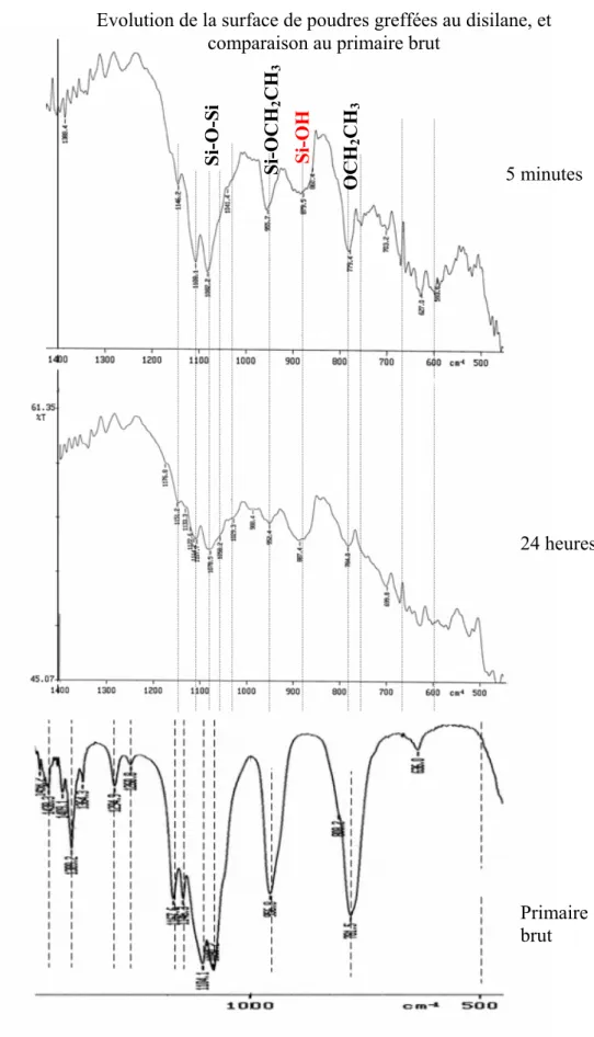 Figure II-30 - Spectre infrarouge de poudres greffées au disilane et son évolution au cours du temps