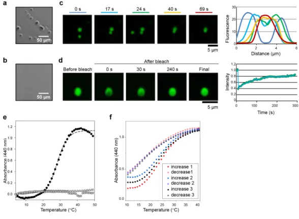 Fig. 4: The PrD of ELF3 undergoes a reversible phase transition in response to  temperature